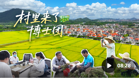 上升浪 当一群博士“扎进”网红村_大皖新闻 | 安徽网