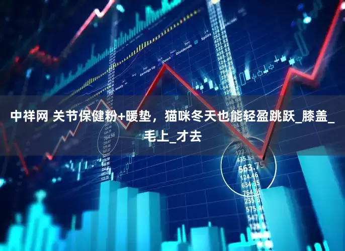 中祥网 关节保健粉+暖垫，猫咪冬天也能轻盈跳跃_膝盖_毛上_才去