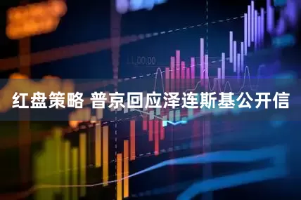 红盘策略 普京回应泽连斯基公开信
